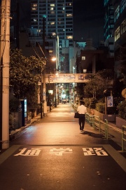 JAP_3265 (Copier).jpg