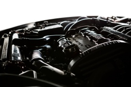 AP3A1276 (Copier).jpg