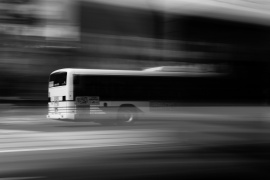 AP3A2717 (Copier).jpg