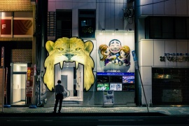 JAP_6234 (Copier).jpg